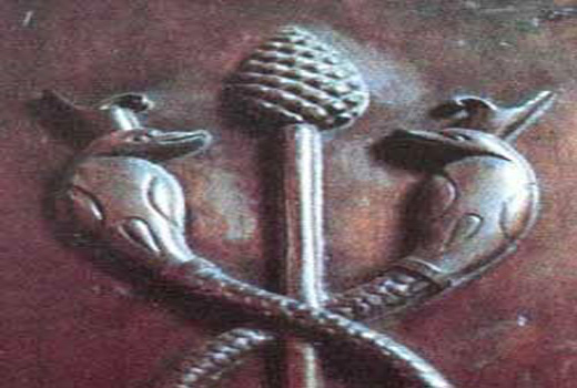 Pineal Gland