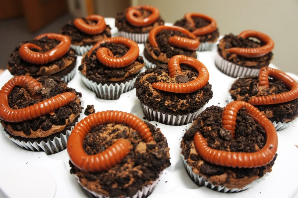 insects cake