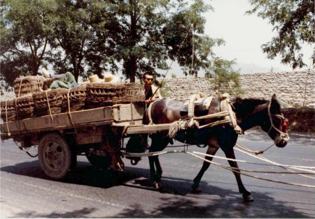 Robert Gorter in China