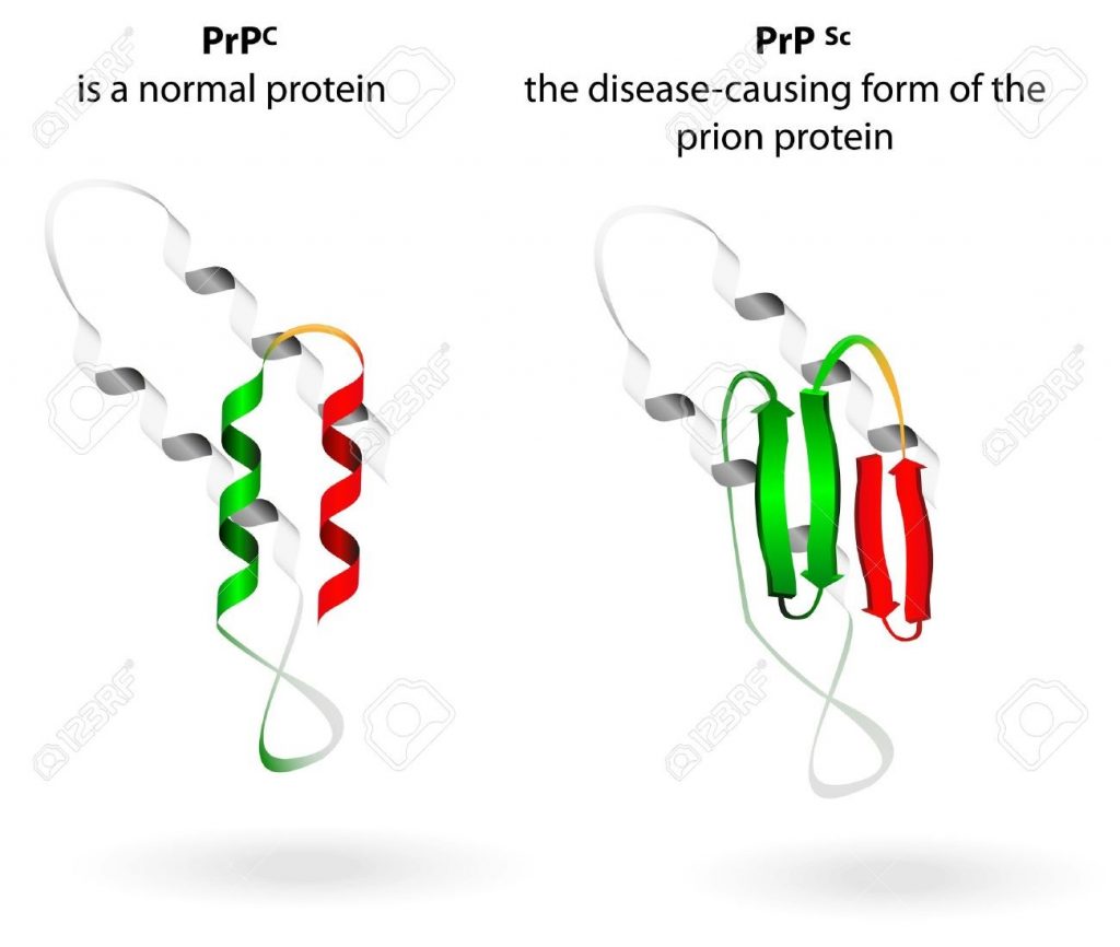 mRNA